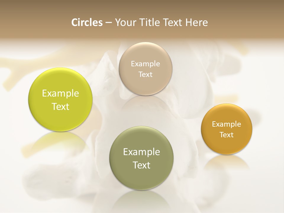 A Group Of Bones With The Words Name Of Presentation On It PowerPoint Template