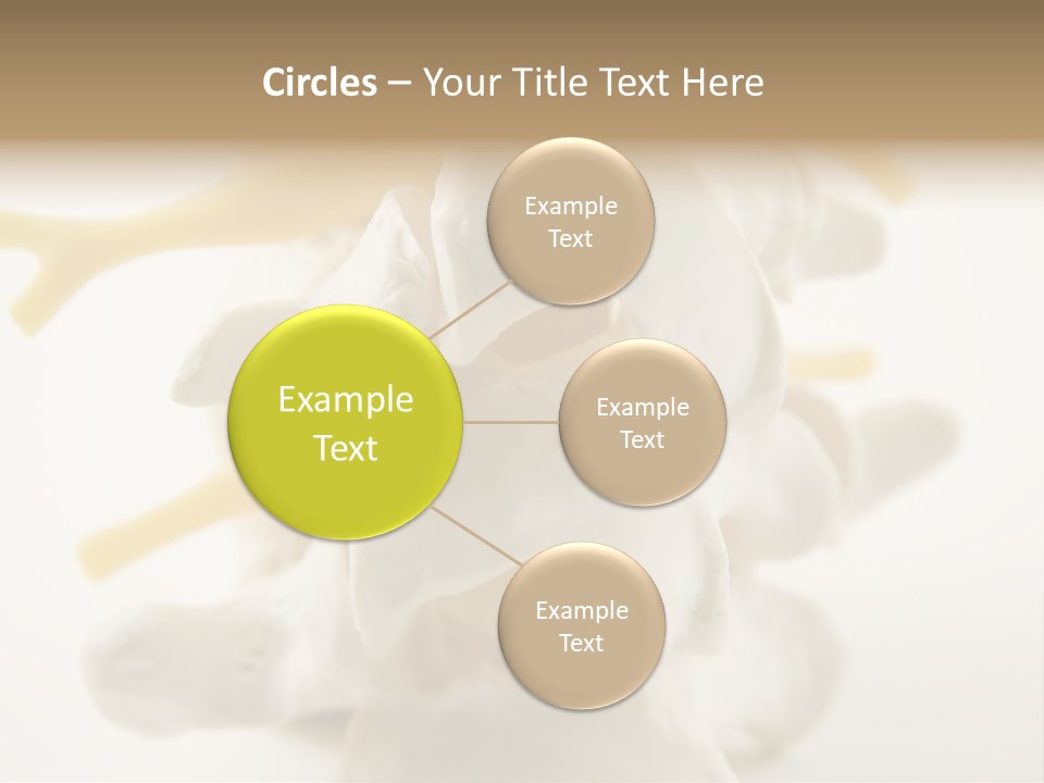 A Group Of Bones With The Words Name Of Presentation On It PowerPoint Template