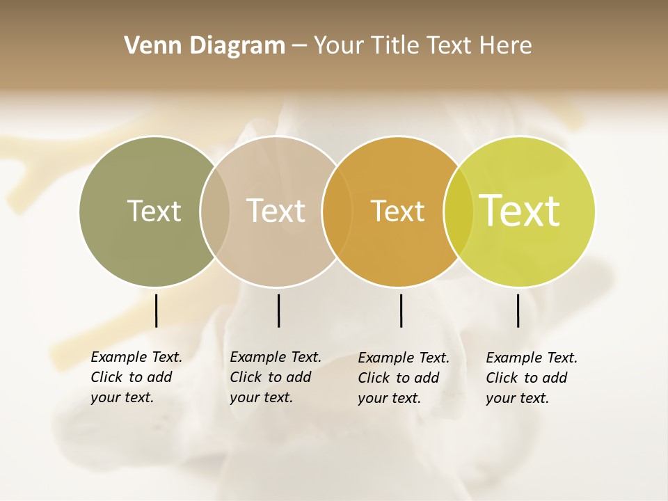 A Group Of Bones With The Words Name Of Presentation On It PowerPoint Template
