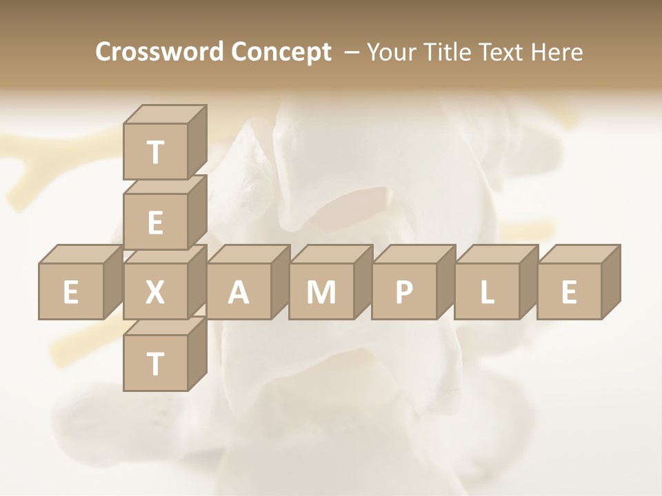 A Group Of Bones With The Words Name Of Presentation On It PowerPoint Template