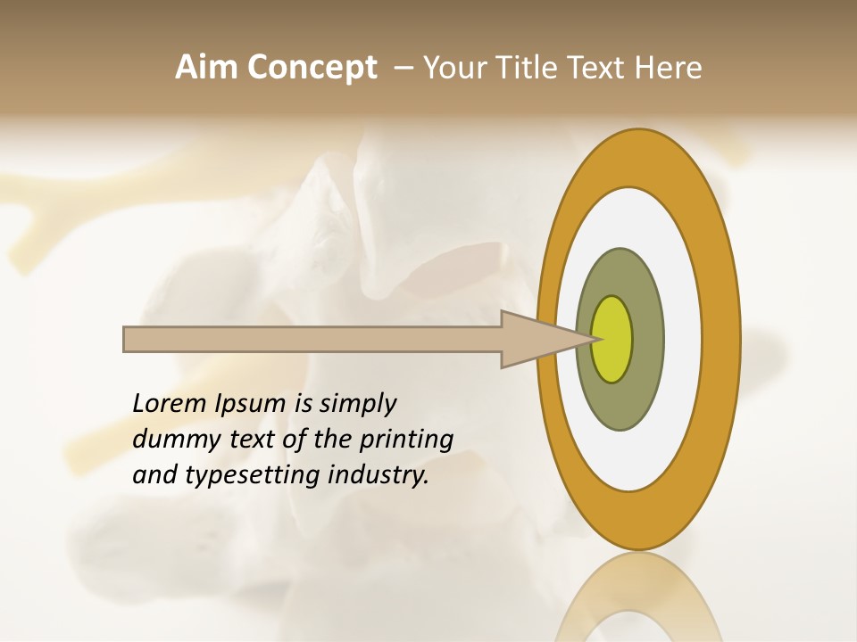 A Group Of Bones With The Words Name Of Presentation On It PowerPoint Template