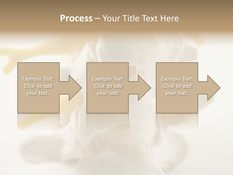 A Group Of Bones With The Words Name Of Presentation On It PowerPoint Template