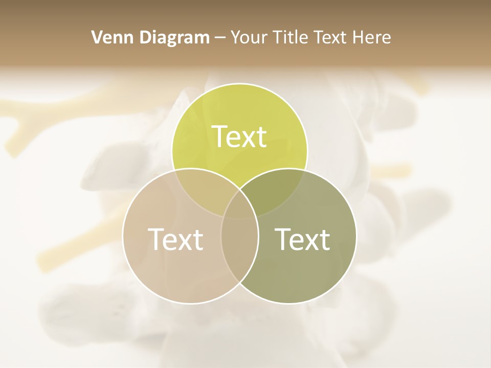 A Group Of Bones With The Words Name Of Presentation On It PowerPoint Template