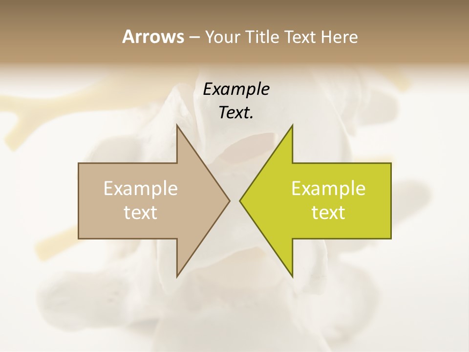 A Group Of Bones With The Words Name Of Presentation On It PowerPoint Template