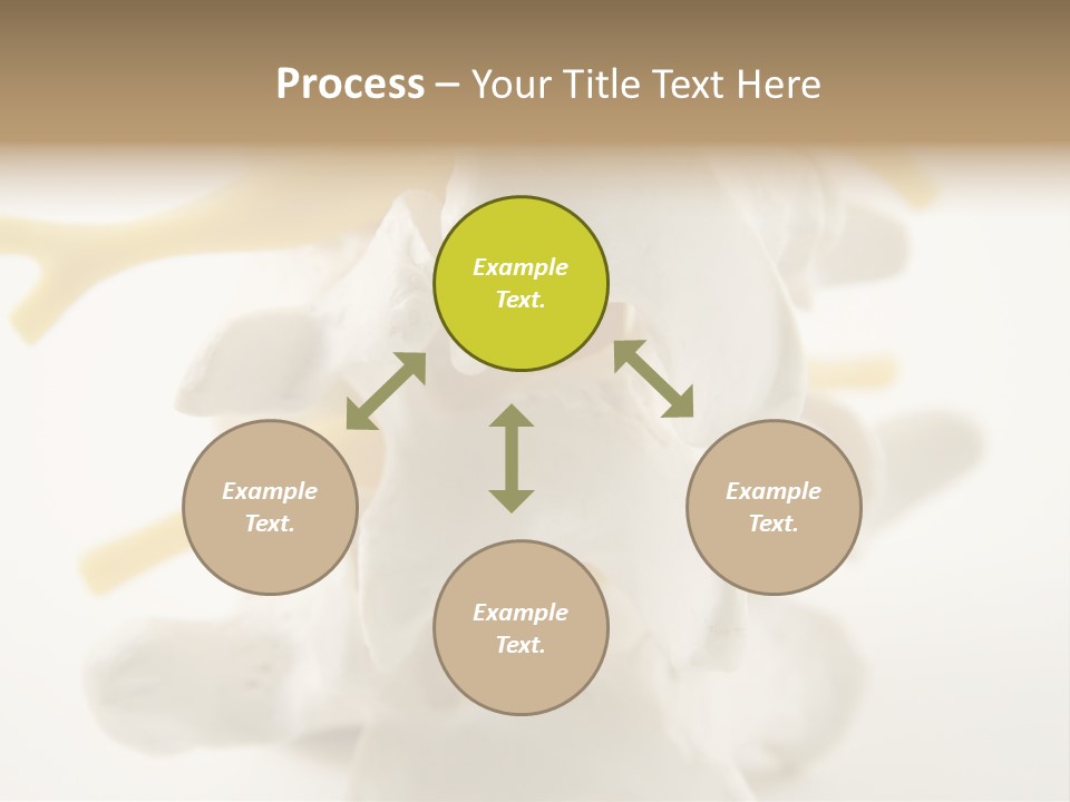 A Group Of Bones With The Words Name Of Presentation On It PowerPoint Template