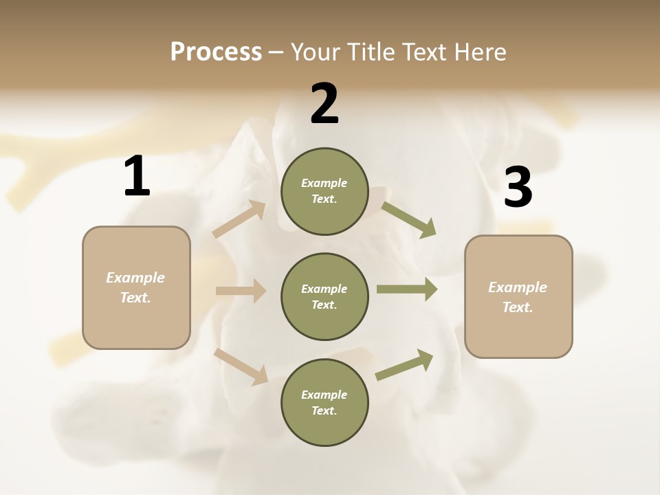 A Group Of Bones With The Words Name Of Presentation On It PowerPoint Template