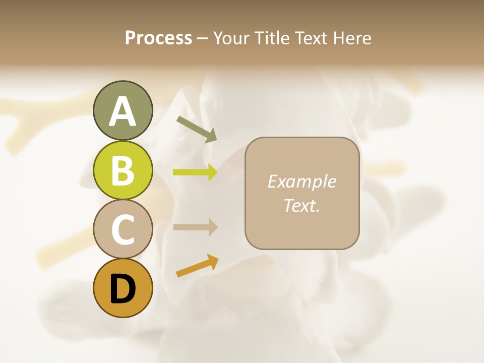 A Group Of Bones With The Words Name Of Presentation On It PowerPoint Template