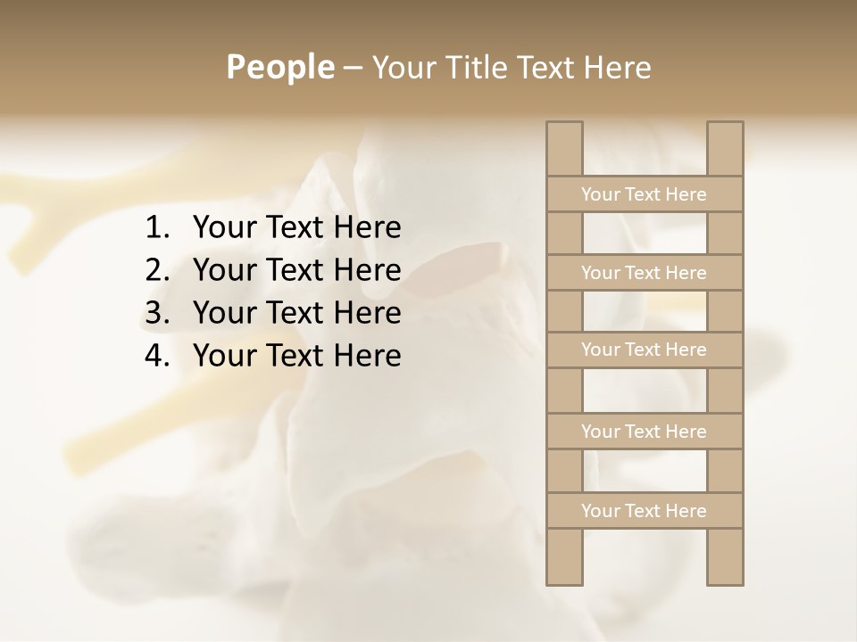 A Group Of Bones With The Words Name Of Presentation On It PowerPoint Template