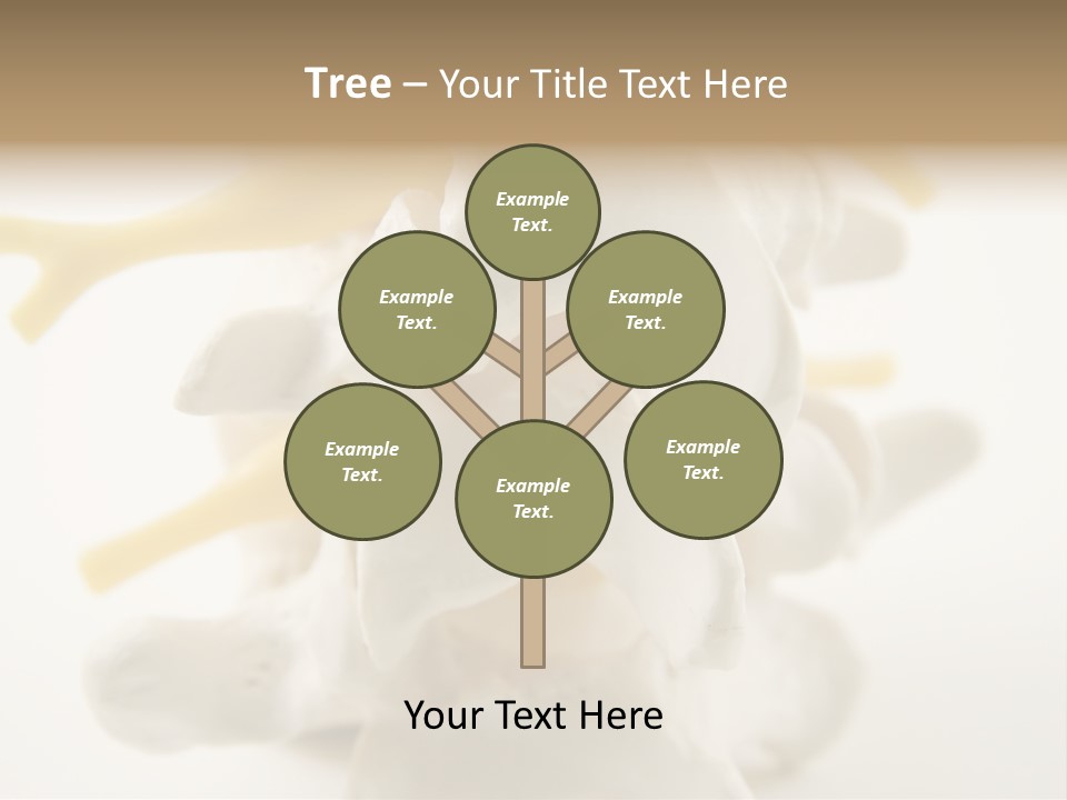 A Group Of Bones With The Words Name Of Presentation On It PowerPoint Template