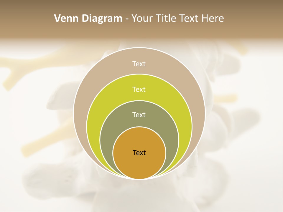 A Group Of Bones With The Words Name Of Presentation On It PowerPoint Template