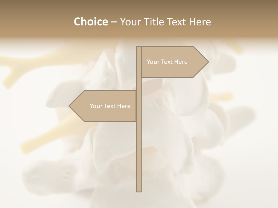 A Group Of Bones With The Words Name Of Presentation On It PowerPoint Template