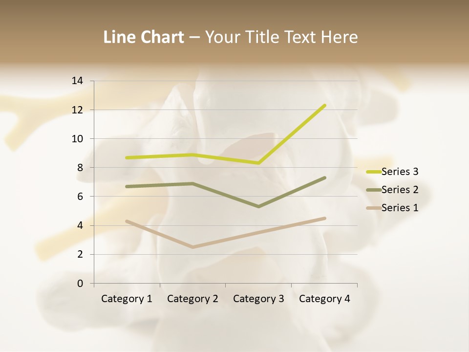 A Group Of Bones With The Words Name Of Presentation On It PowerPoint Template