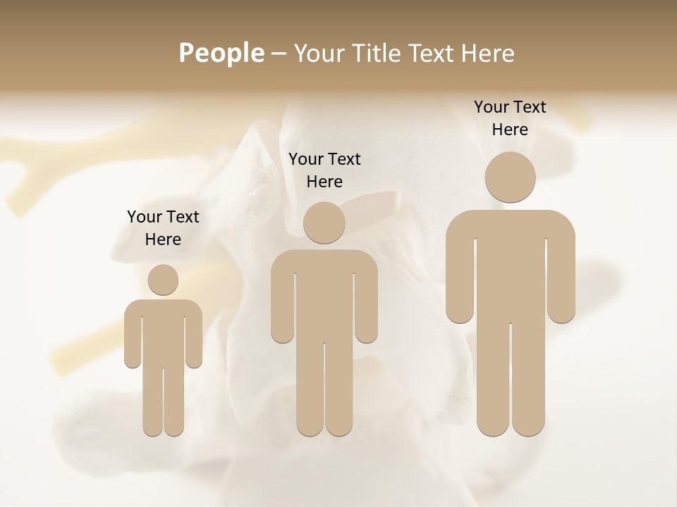 A Group Of Bones With The Words Name Of Presentation On It PowerPoint Template