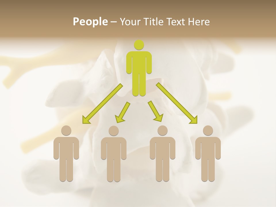 A Group Of Bones With The Words Name Of Presentation On It PowerPoint Template