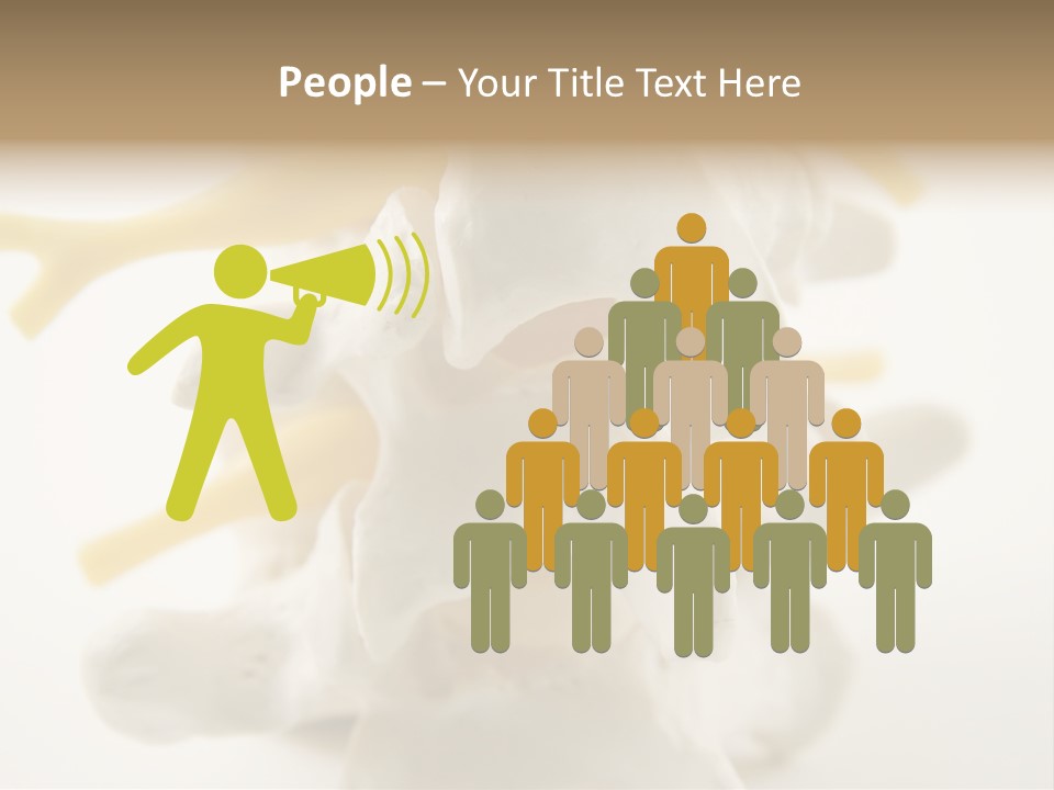 A Group Of Bones With The Words Name Of Presentation On It PowerPoint Template