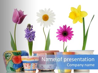 Colorful Spring Flowers In Fun Ceramic Containers PowerPoint Template