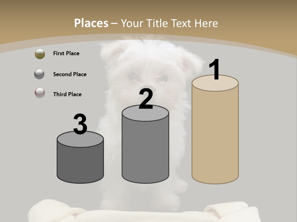 A Cute Little Dog Standing Next To A Big Bone PowerPoint Template