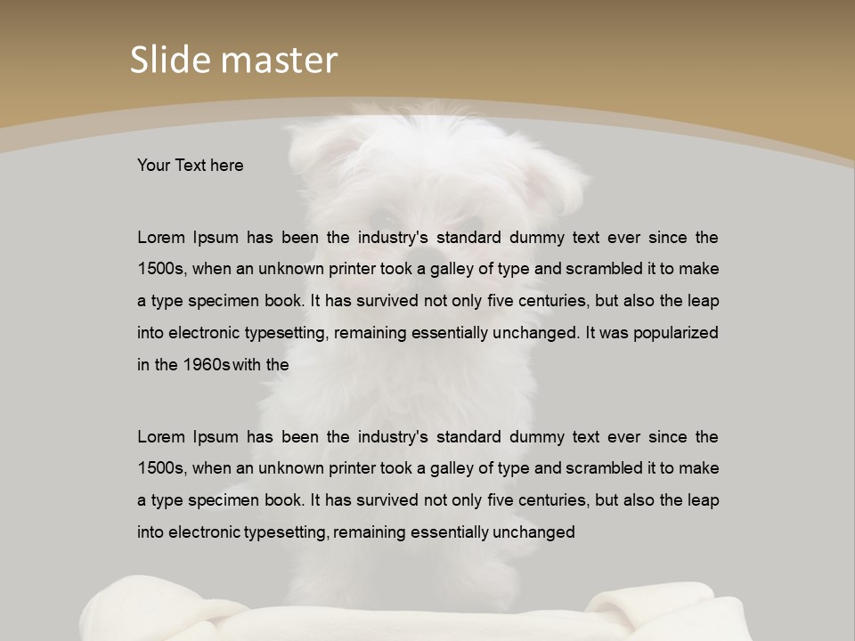 A Cute Little Dog Standing Next To A Big Bone PowerPoint Template