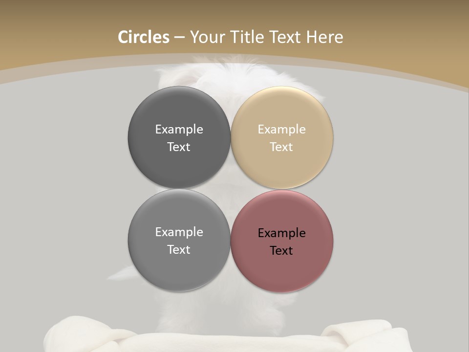 A Cute Little Dog Standing Next To A Big Bone PowerPoint Template