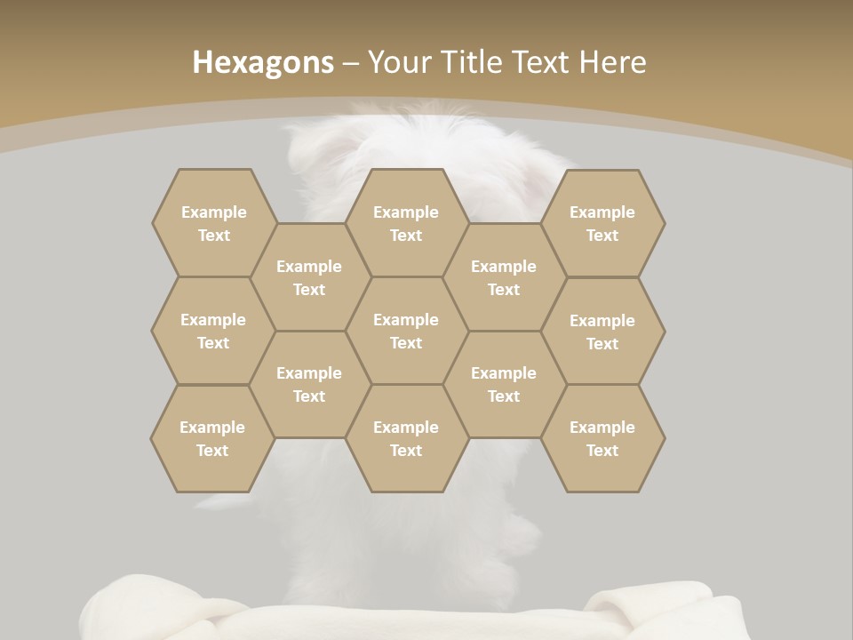 A Cute Little Dog Standing Next To A Big Bone PowerPoint Template