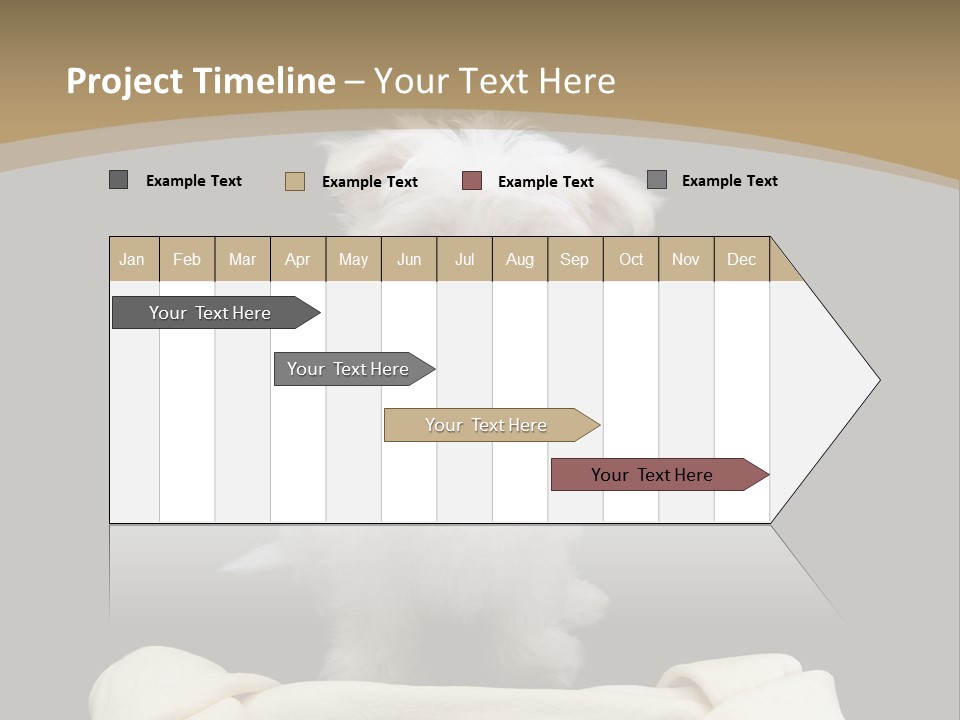 A Cute Little Dog Standing Next To A Big Bone PowerPoint Template