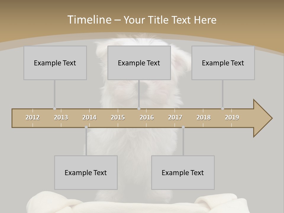 A Cute Little Dog Standing Next To A Big Bone PowerPoint Template