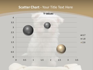 A Cute Little Dog Standing Next To A Big Bone PowerPoint Template