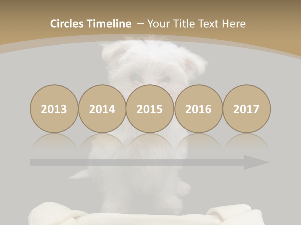 A Cute Little Dog Standing Next To A Big Bone PowerPoint Template