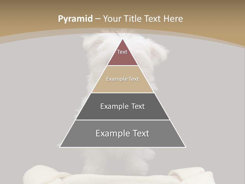 A Cute Little Dog Standing Next To A Big Bone PowerPoint Template