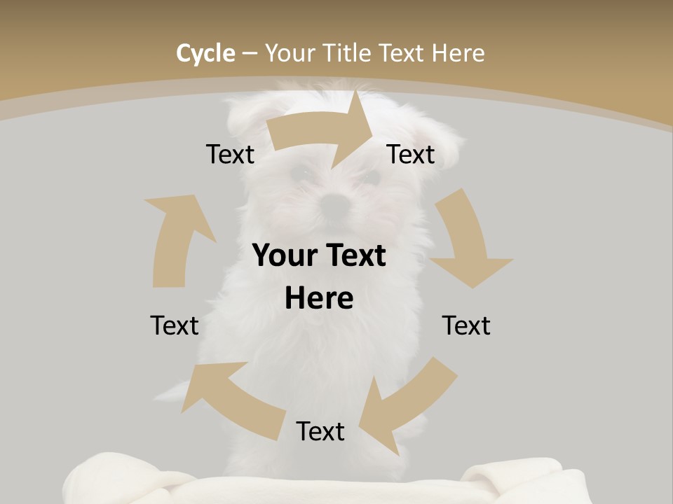 A Cute Little Dog Standing Next To A Big Bone PowerPoint Template