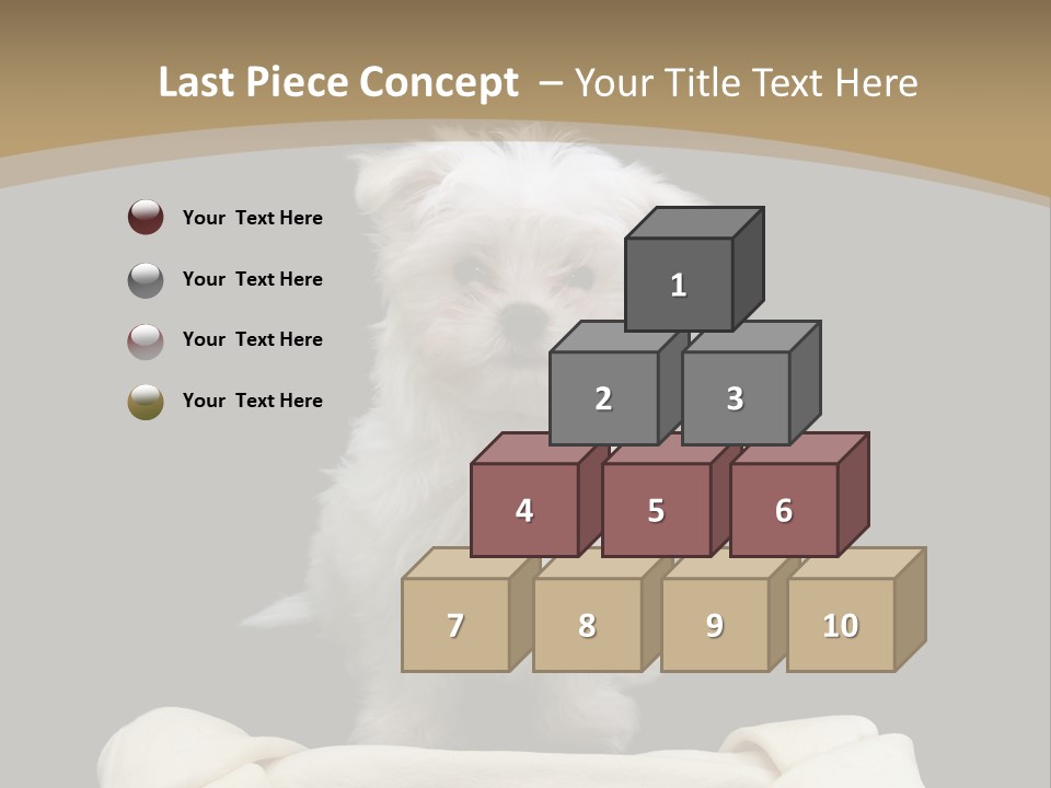 A Cute Little Dog Standing Next To A Big Bone PowerPoint Template