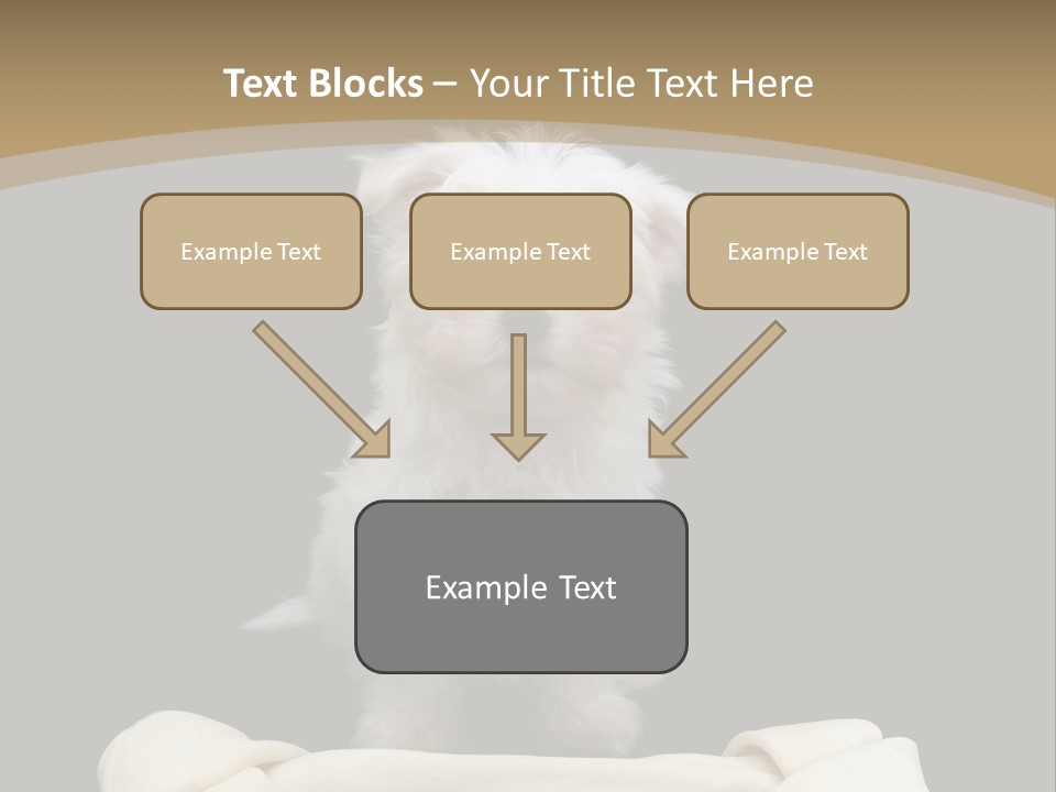A Cute Little Dog Standing Next To A Big Bone PowerPoint Template