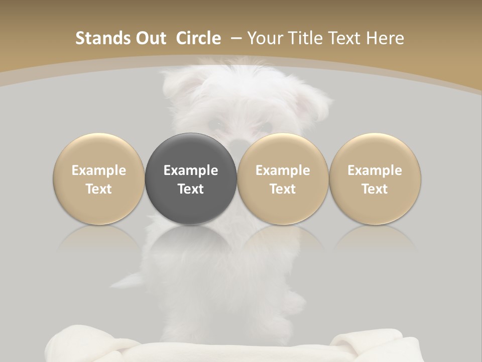 A Cute Little Dog Standing Next To A Big Bone PowerPoint Template