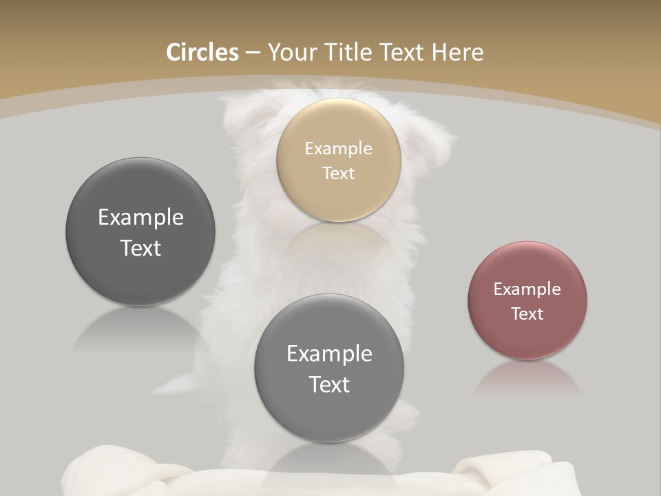 A Cute Little Dog Standing Next To A Big Bone PowerPoint Template