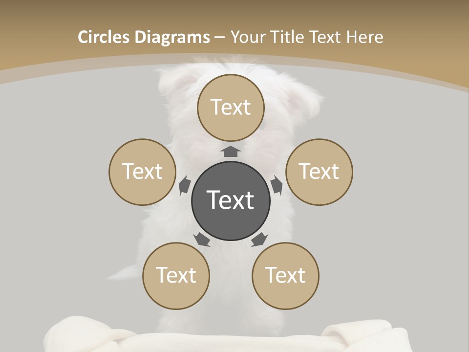 A Cute Little Dog Standing Next To A Big Bone PowerPoint Template