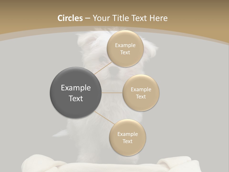 A Cute Little Dog Standing Next To A Big Bone PowerPoint Template