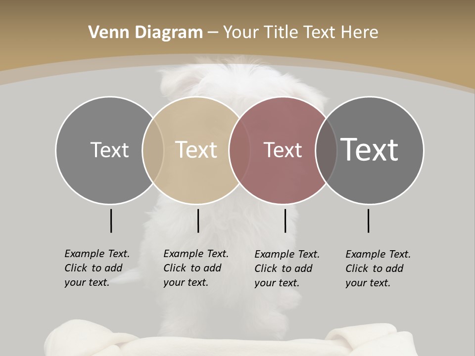 A Cute Little Dog Standing Next To A Big Bone PowerPoint Template