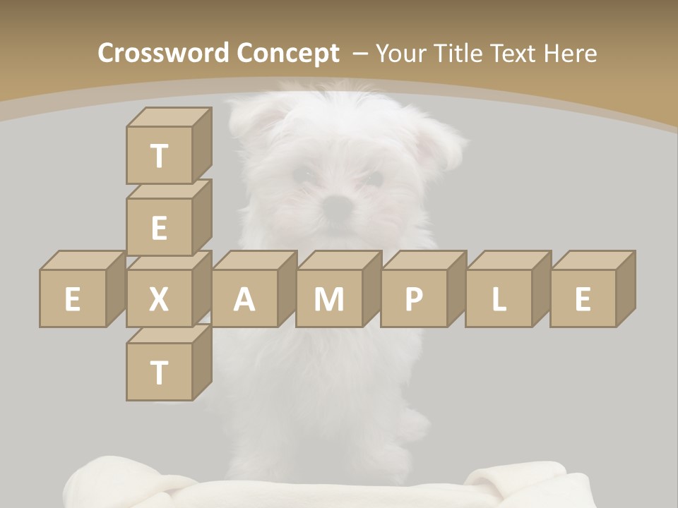 A Cute Little Dog Standing Next To A Big Bone PowerPoint Template