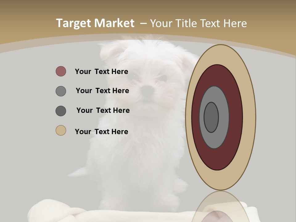 A Cute Little Dog Standing Next To A Big Bone PowerPoint Template