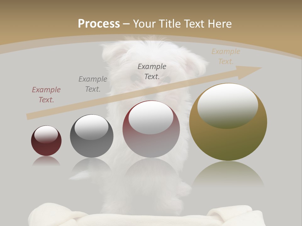 A Cute Little Dog Standing Next To A Big Bone PowerPoint Template