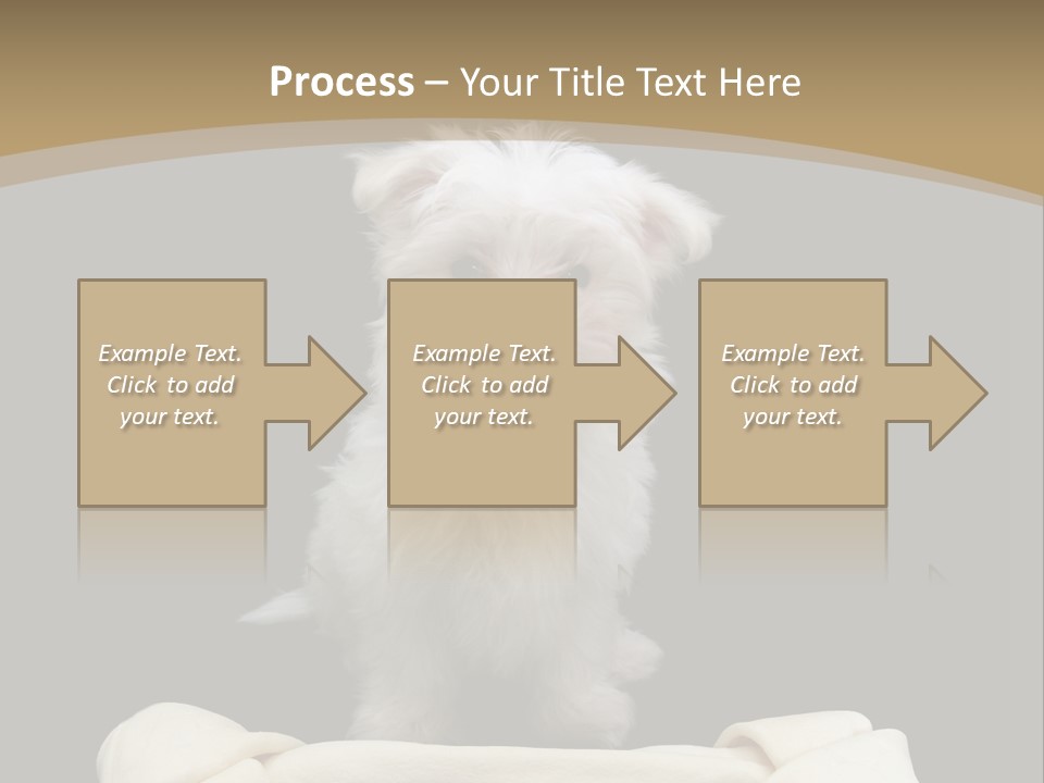 A Cute Little Dog Standing Next To A Big Bone PowerPoint Template