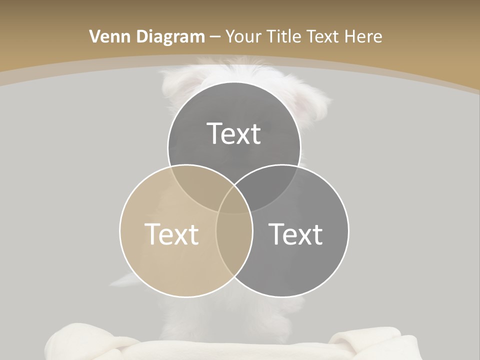 A Cute Little Dog Standing Next To A Big Bone PowerPoint Template