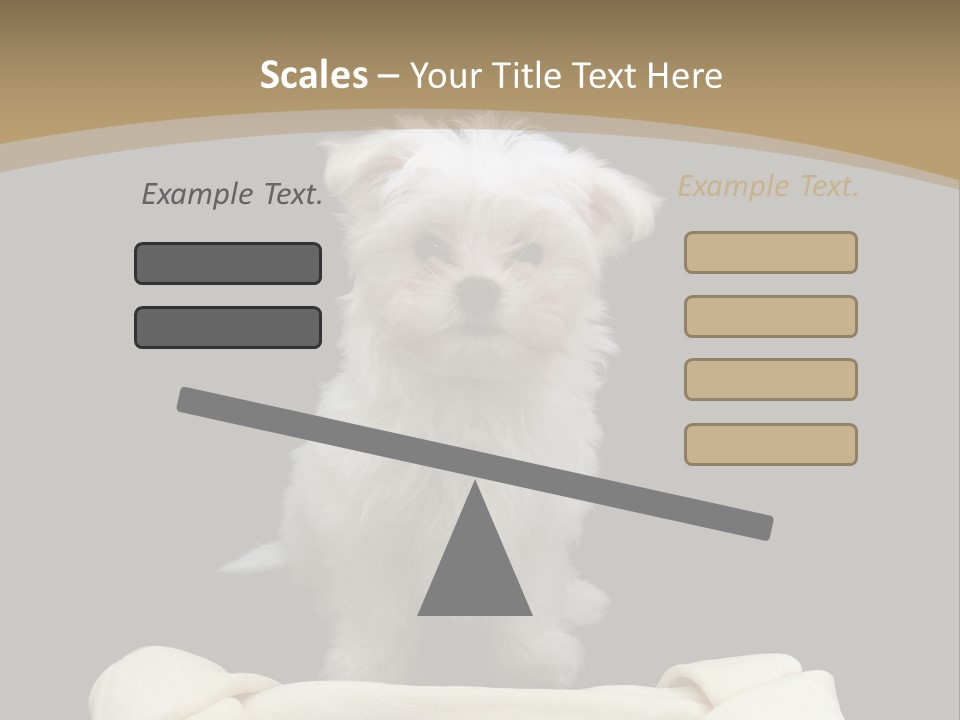 A Cute Little Dog Standing Next To A Big Bone PowerPoint Template