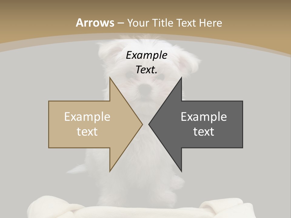 A Cute Little Dog Standing Next To A Big Bone PowerPoint Template