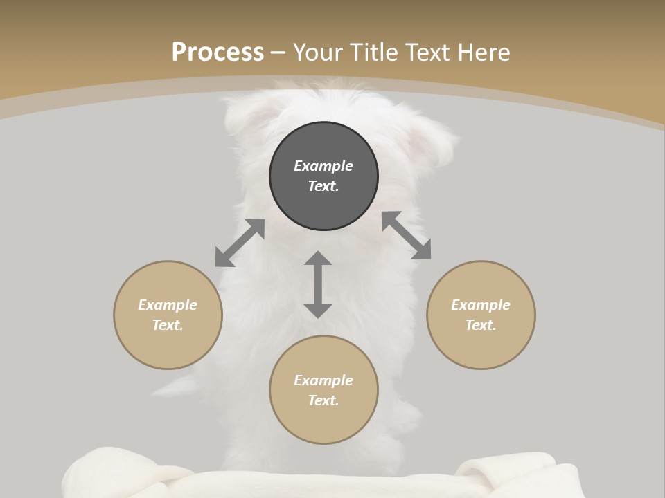 A Cute Little Dog Standing Next To A Big Bone PowerPoint Template