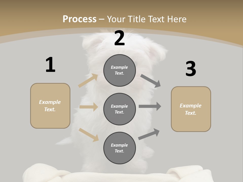 A Cute Little Dog Standing Next To A Big Bone PowerPoint Template