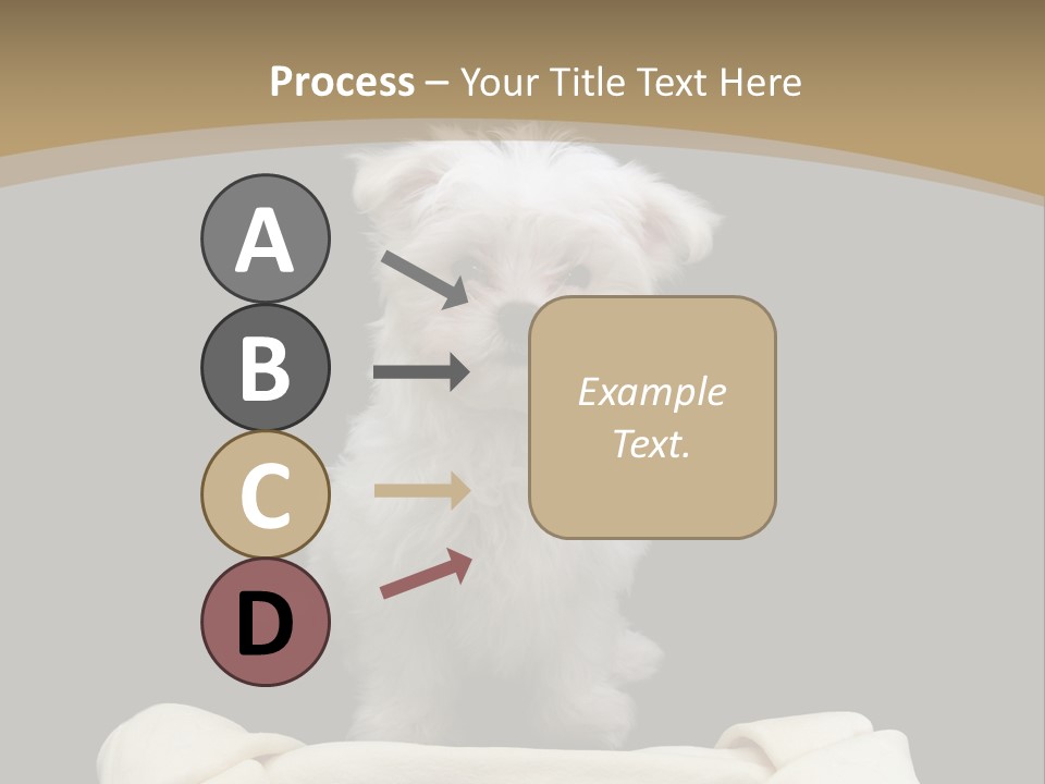 A Cute Little Dog Standing Next To A Big Bone PowerPoint Template