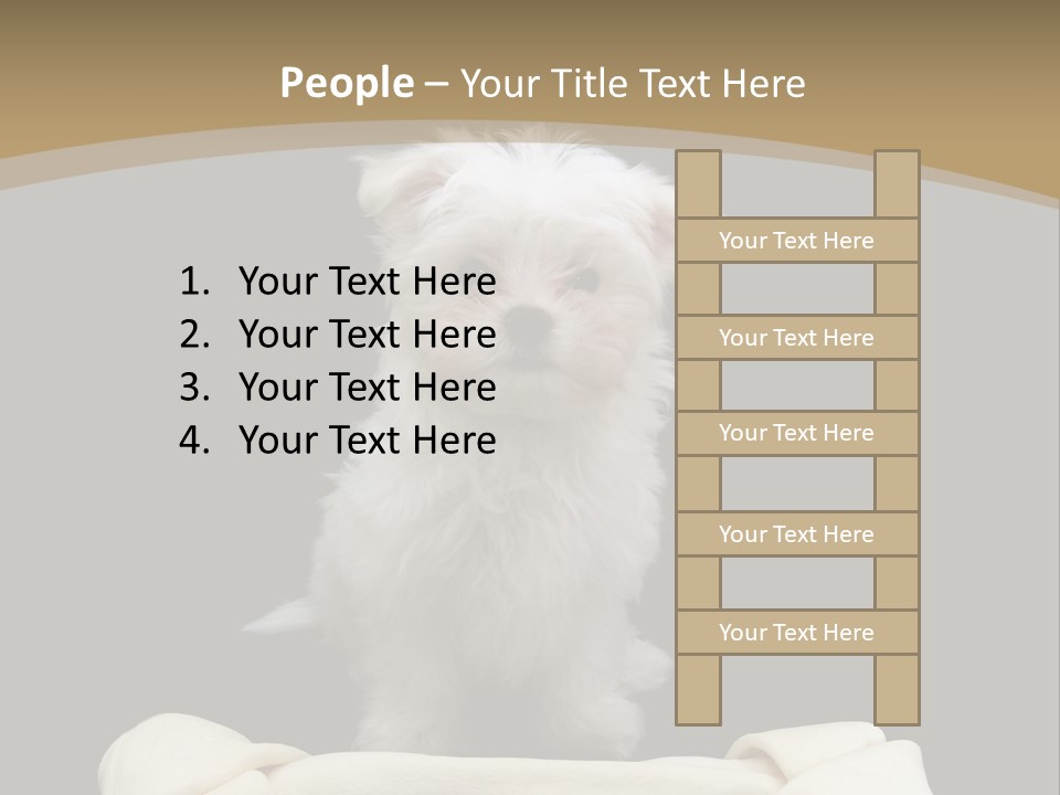 A Cute Little Dog Standing Next To A Big Bone PowerPoint Template