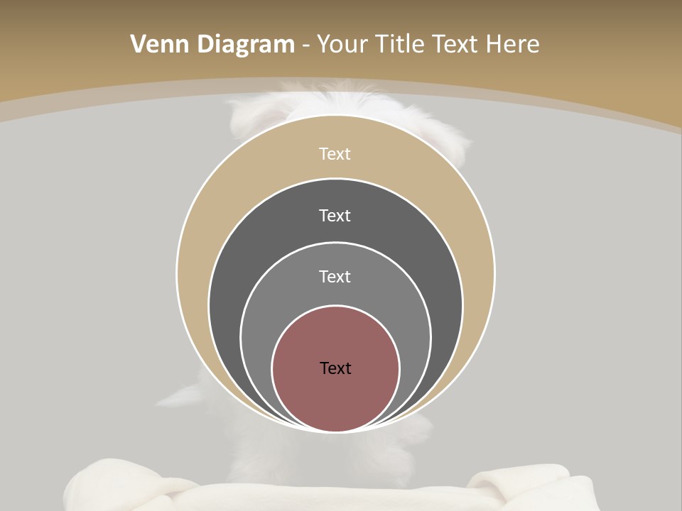 A Cute Little Dog Standing Next To A Big Bone PowerPoint Template