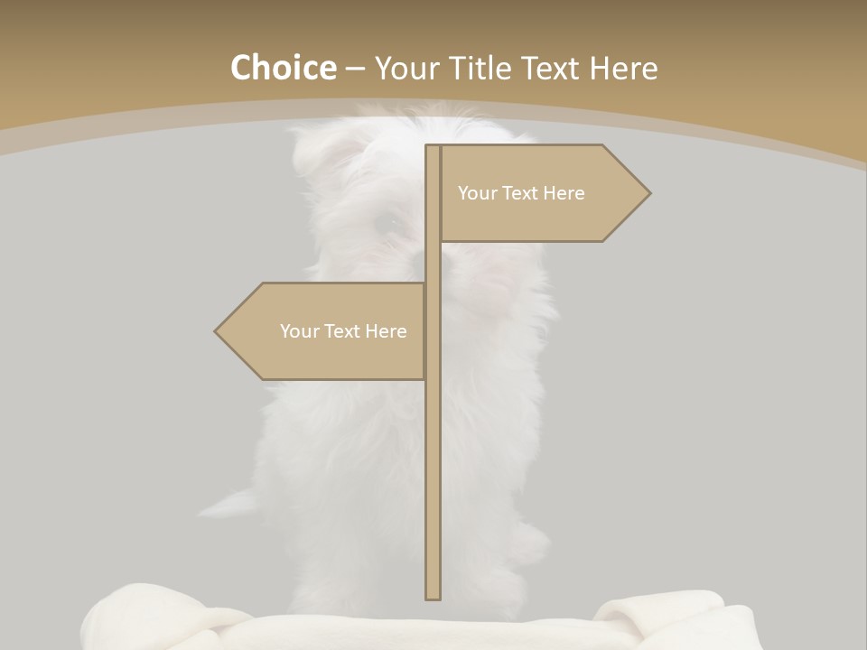 A Cute Little Dog Standing Next To A Big Bone PowerPoint Template